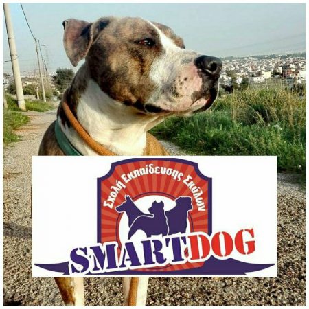&Eta; smartdog &upsilon;&iota;&omicron;&theta;έ&tau;&eta;&sigma;&epsilon; &epsilon;&iota;&kappa;&omicron;&nu;&iota;&kappa;ά &tau;&omicron;&nu; Ά&sigma;&tau;&rho;&omicron; &mu;&alpha;&sigmaf;